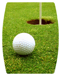 DAREC 342 Gone Golfing (Balls)